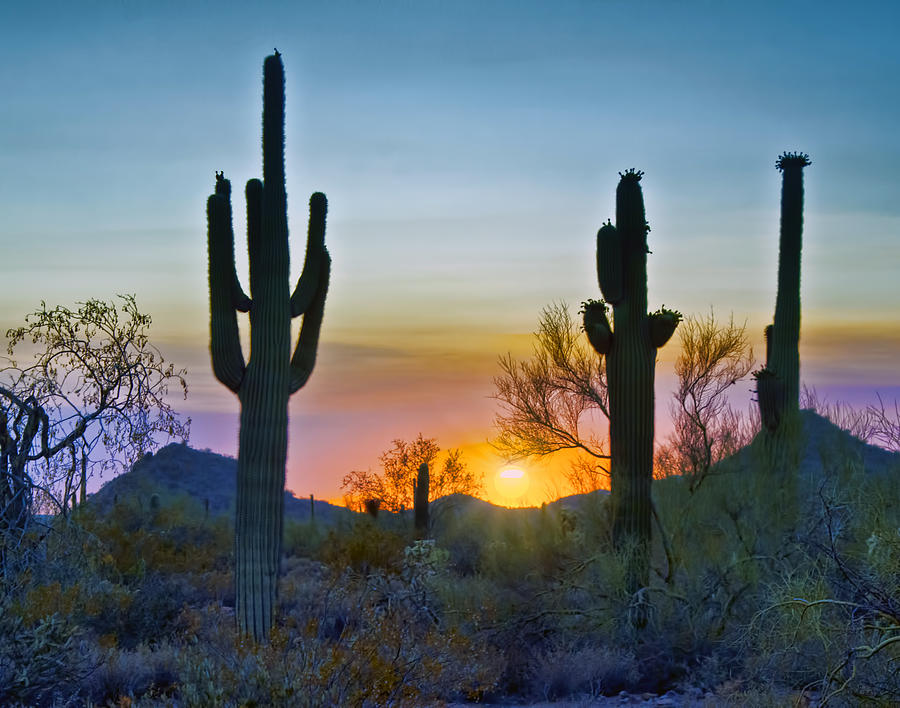 Sunset a Fire Photograph by Brian Lambert - Fine Art America