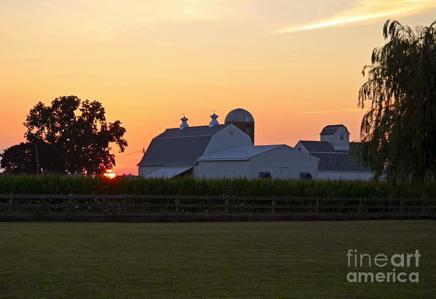 Sunset Acres Photograph by Sue Stefanowicz