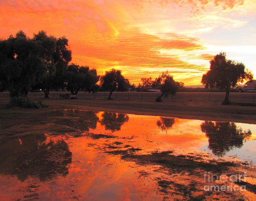 Sunset Photograph - Sunset after rain by Irina Hays