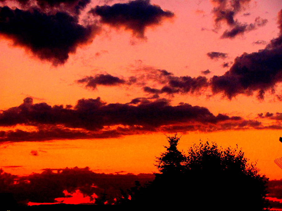 Sunset Photograph - Sunset  by Amy Bradley