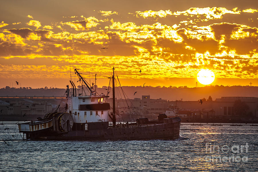 Sunset and boat on San Diego Bay Photograph by Sonny Marcyan
