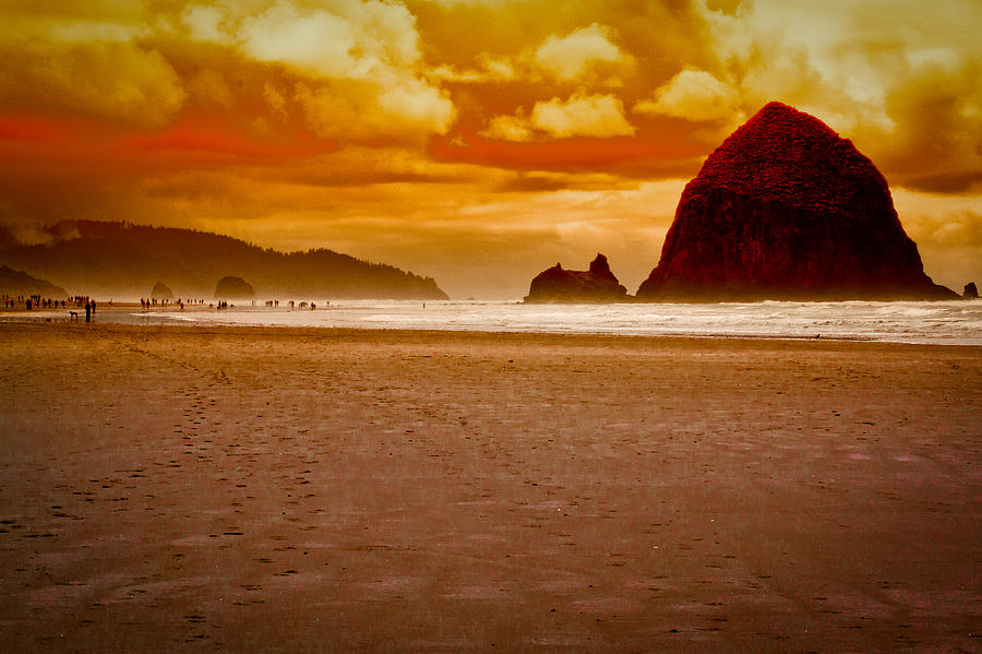 Landscape Photograph - Sunset at Cannon Beach by David Patterson