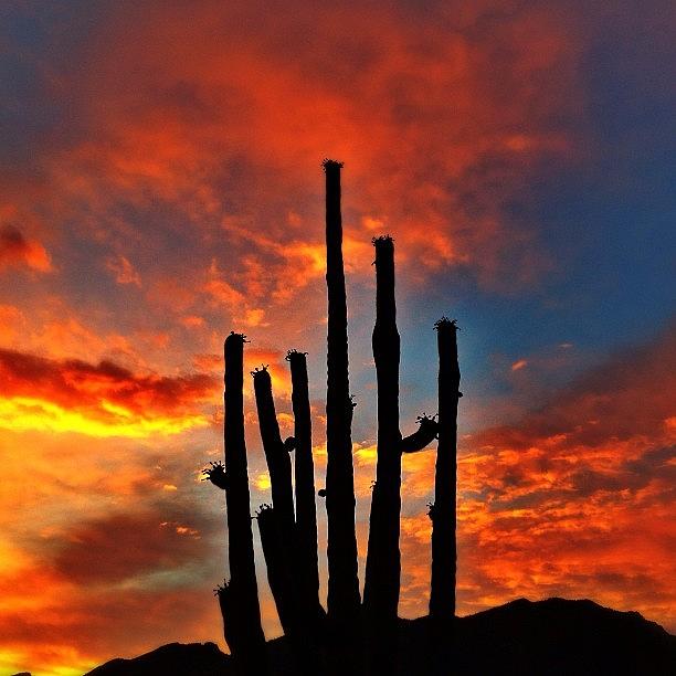 Tucson Photograph - Sunset At Lowes Ventana Canyon Resort by Brad Kremer