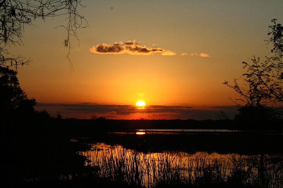 Sunset at Loxahatchee Photograph by Larry Parker