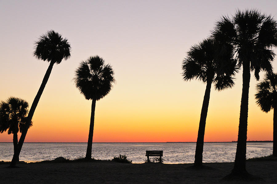 Sunset at Sunset Point in Tarpon Springs Photograph by Betty Eich