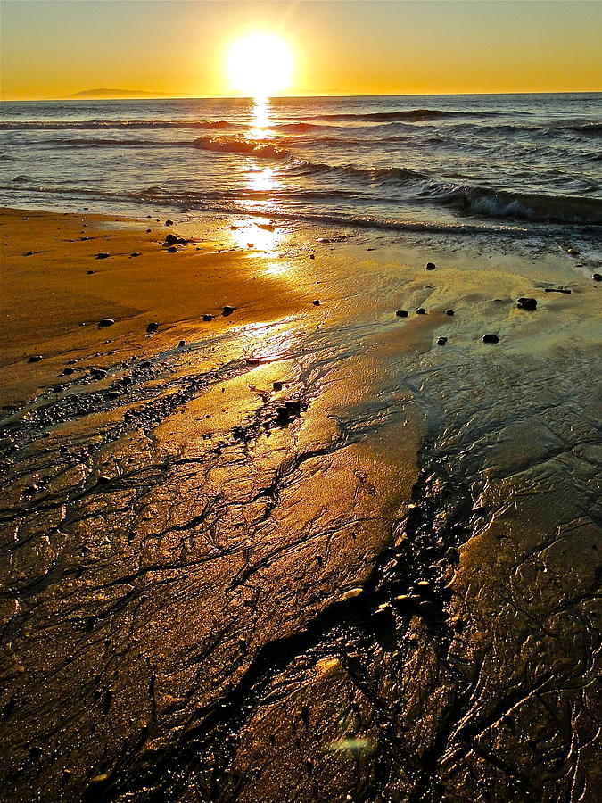 Sunset at the Beach Photograph by Liz Vernand