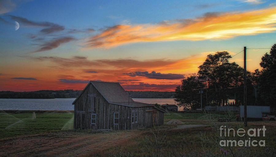 Sunset Photograph - Sunset at the Bog by Gina Cormier