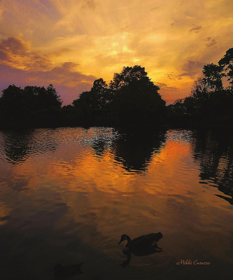 Sunset at the duck pond Photograph by Mikki Cucuzzo