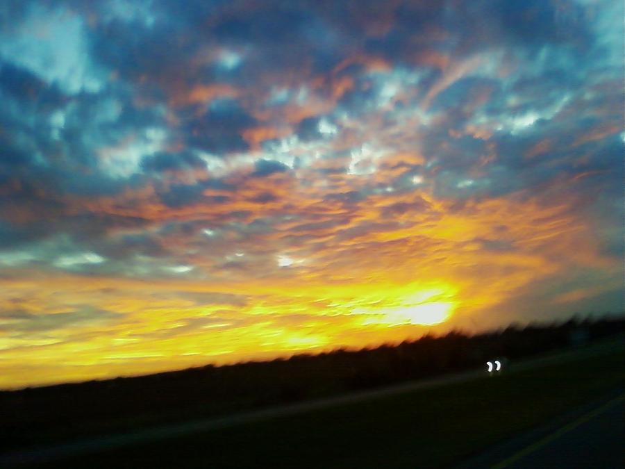 Sunset Pyrography by Barbara Taboada - Fine Art America