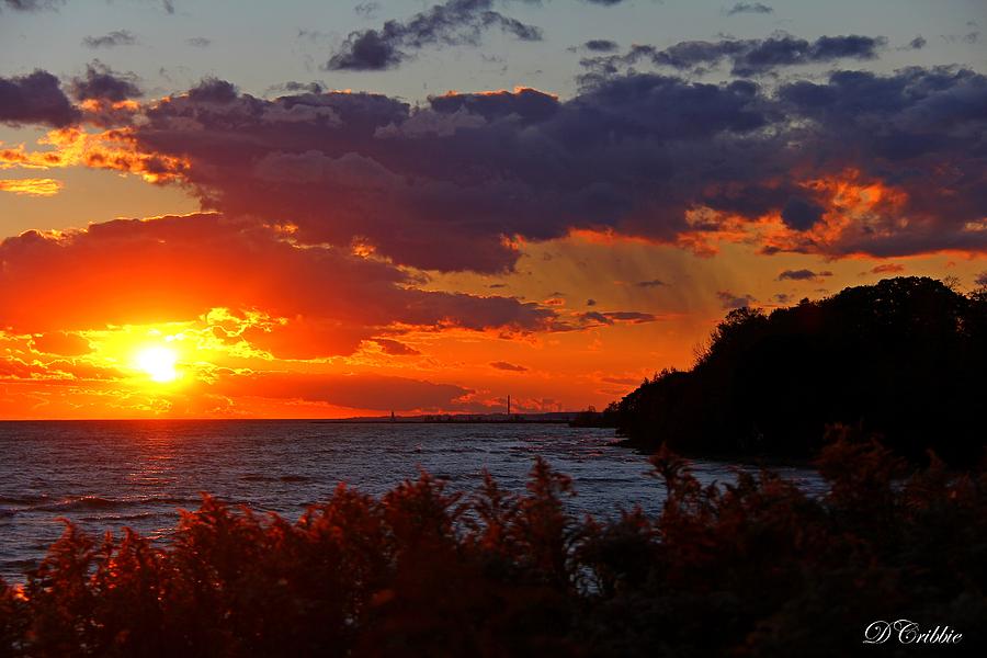 Sunset by the Beach Photograph by Davandra Cribbie