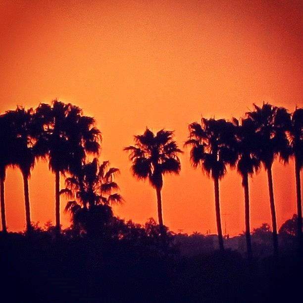 Sunset Photograph - #sunset #capistranobeach #california by Susan Neufeld