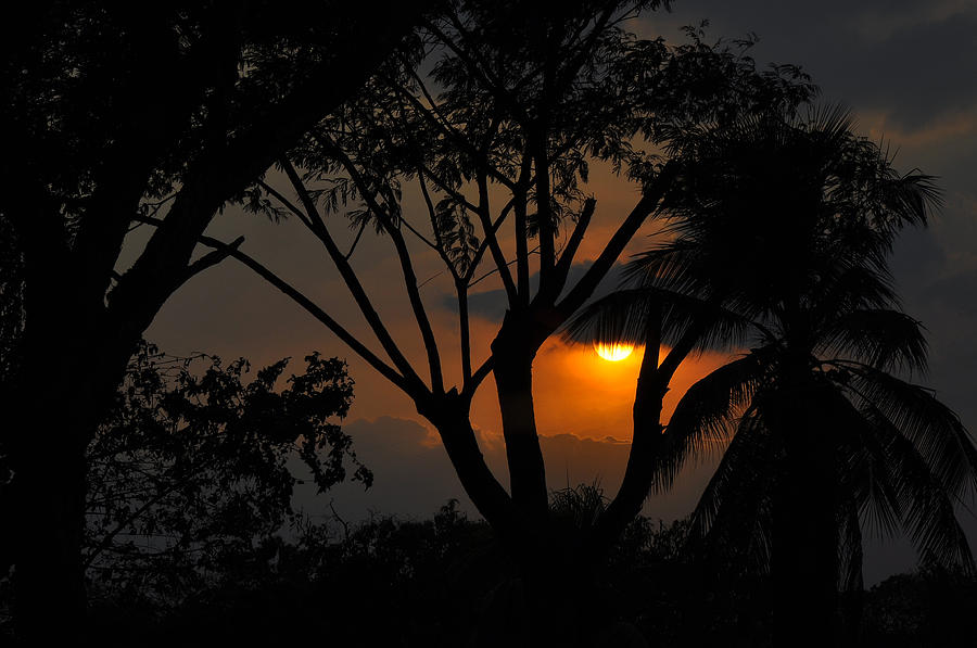 Sunset Photograph - Sunset by Carlos Nass