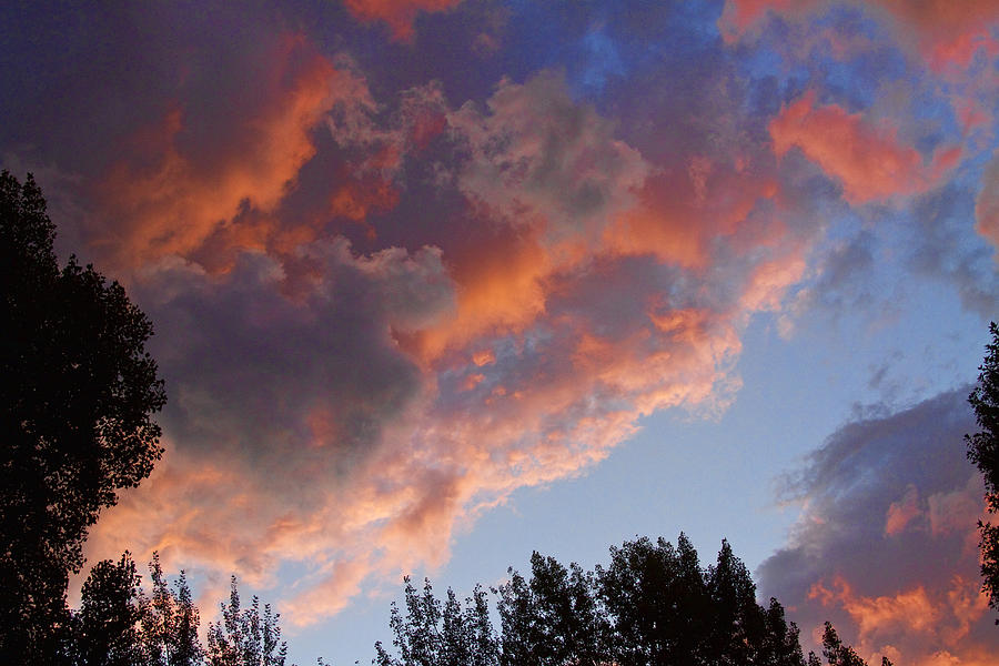 Sunset Cloudscape 1052 Photograph by James BO Insogna