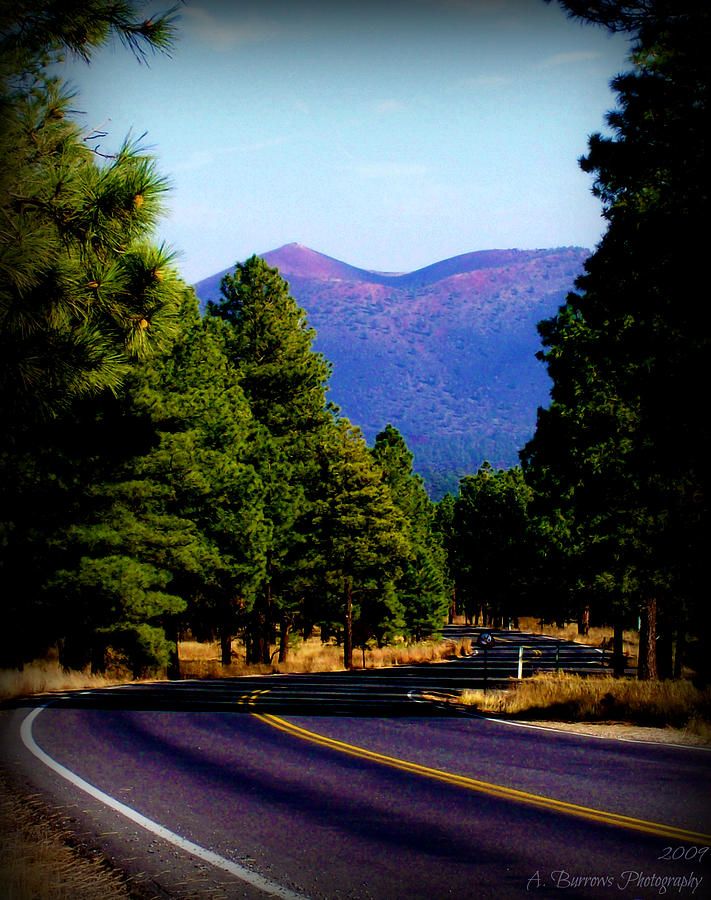 Sunset Crater Views Photograph by Aaron Burrows