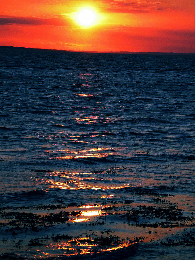 Sunset Denmark Samsoe Island Photograph by Colette V Hera Guggenheim
