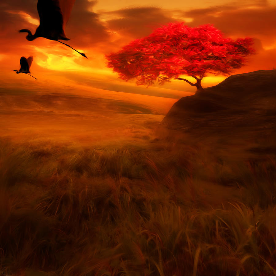Sunset Duet Photograph by Lourry Legarde Sunset Duet Photograph by Lourry Legarde