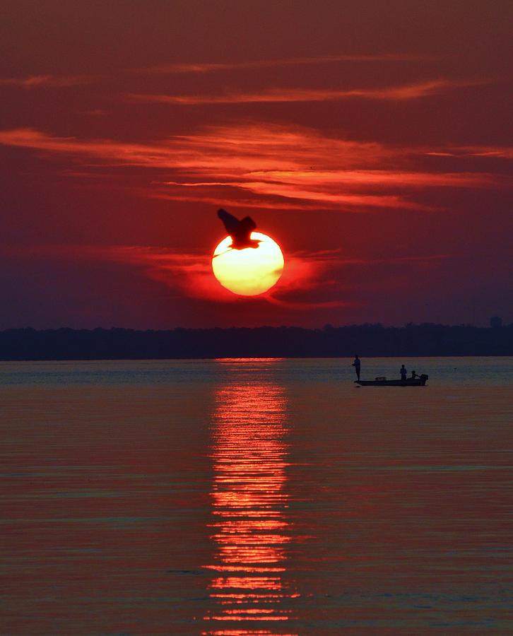 Sunset Fishing Photograph