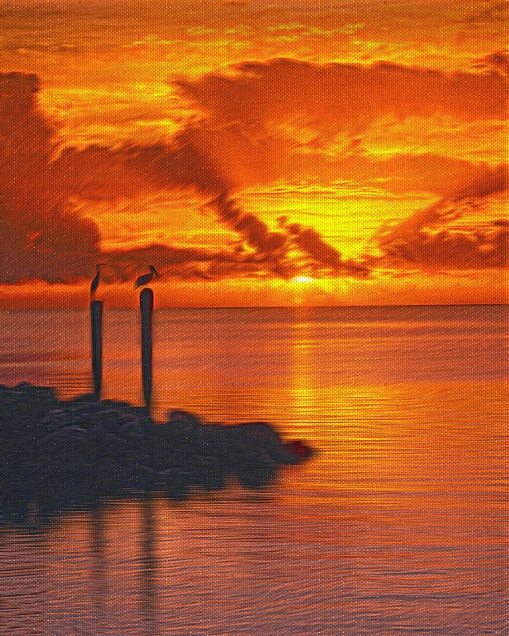 Pelican Photograph - Sunset Florida Keys - 5 by Larry Mulvehill