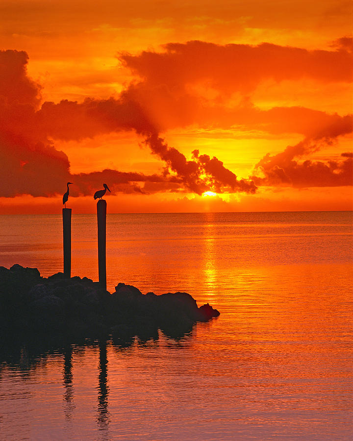 Sunset Florida Keys - 6 Photograph by Larry Mulvehill