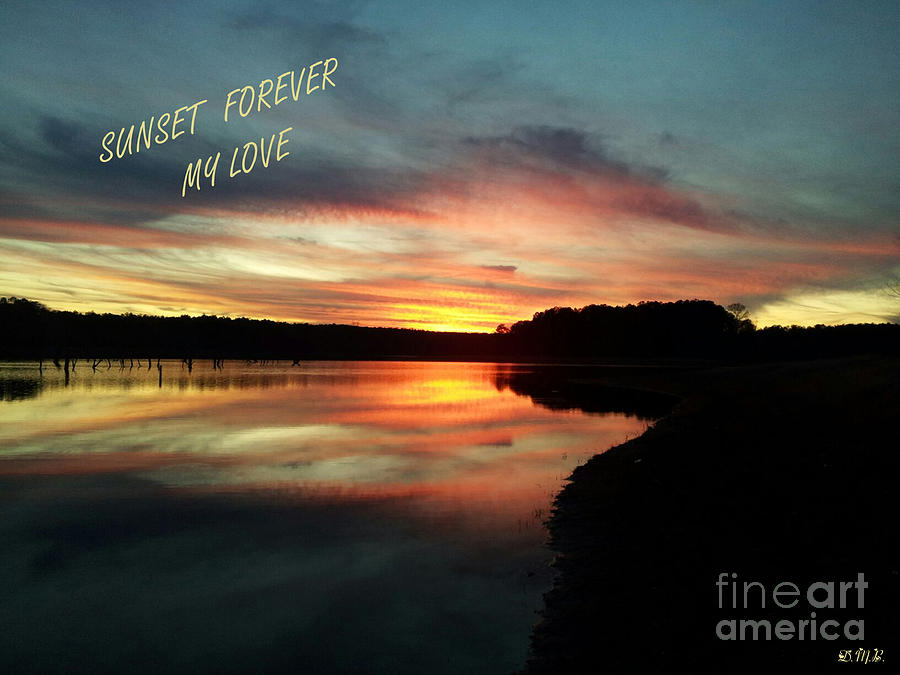 Sunset Forever My Love Photograph by Donna Brown