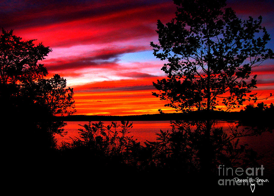 Sunset I Will Never Forget At Lake Ontelaunee Photograph by Donna Brown