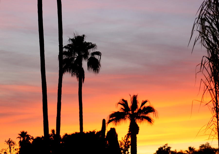 Sunset in Arizona Photograph by Kim Galluzzo