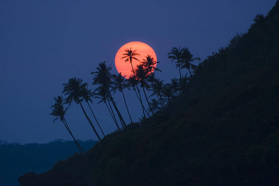 Sunset Photograph - Sunset In Goa by Sydney Alvares