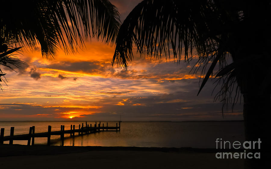 Sunset in KeyLargo Photograph by Tammy Chesney