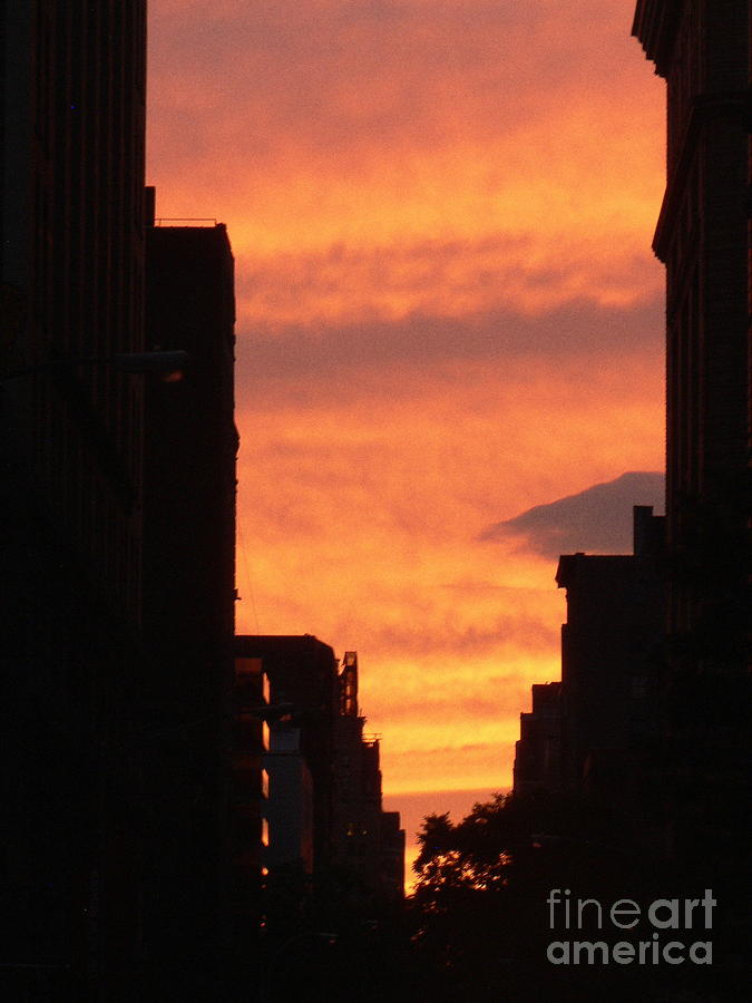 Sunset in NYC Photograph by Elizabeth Fontaine-Barr