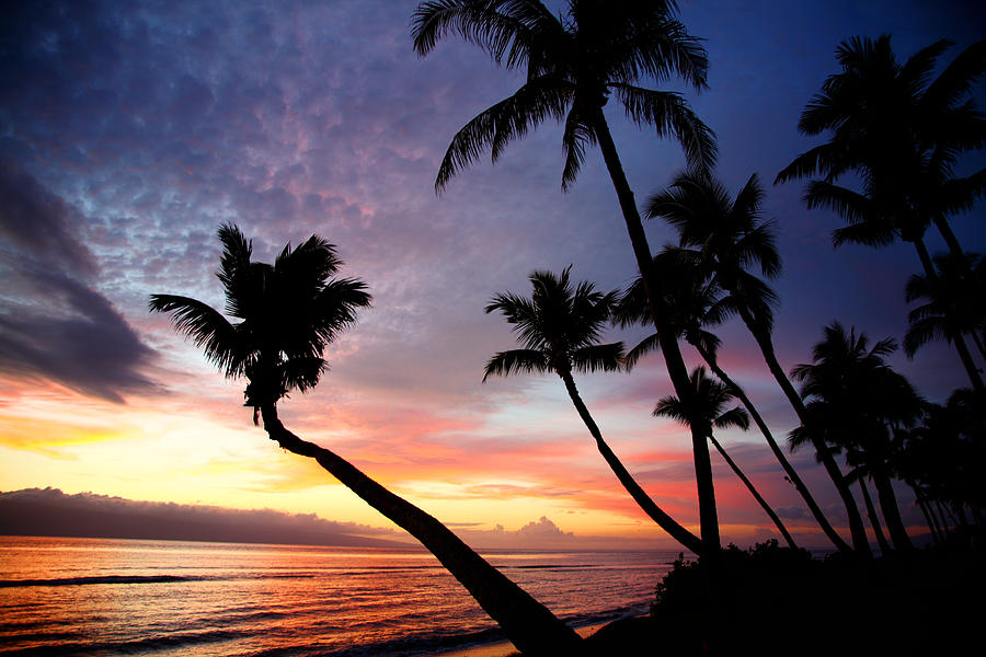 Sunset Photograph - Sunset in Paradise by Jama Pantel
