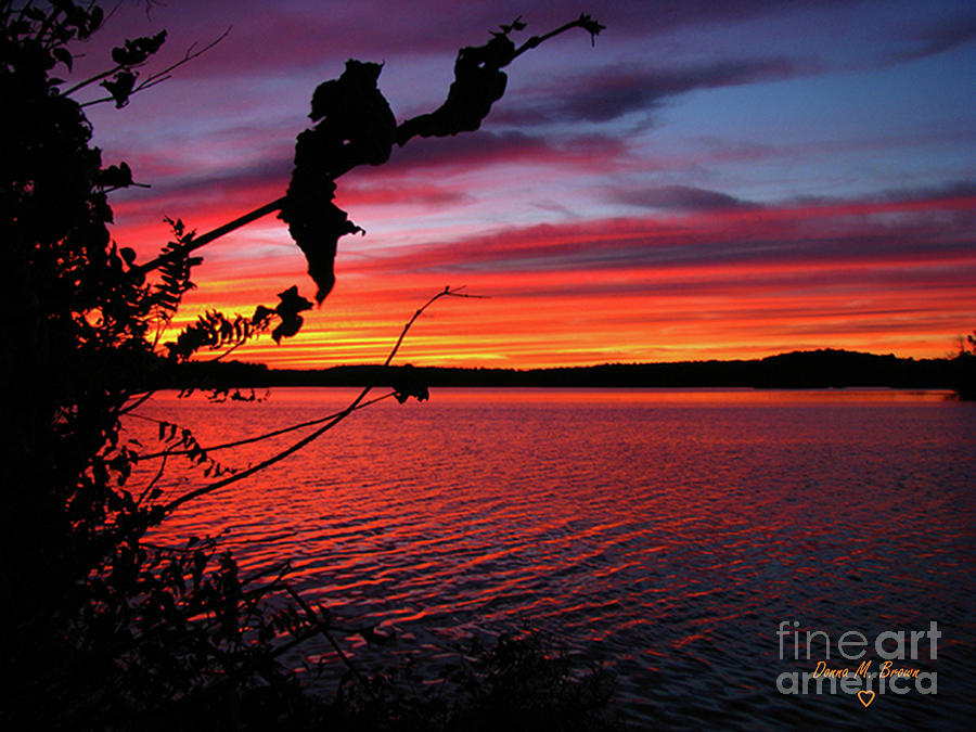 Sunset In Pennsylvania by Donna Brown