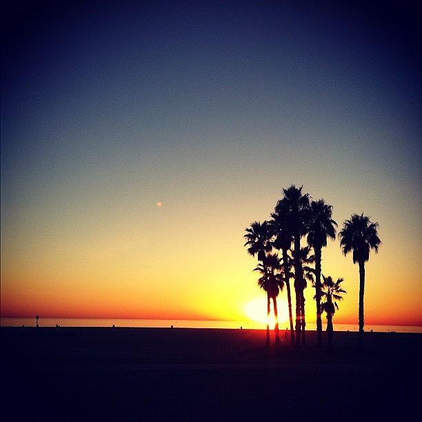Santa Monica Photograph - Sunset in Santa Monica by Joanna Kalafatis
