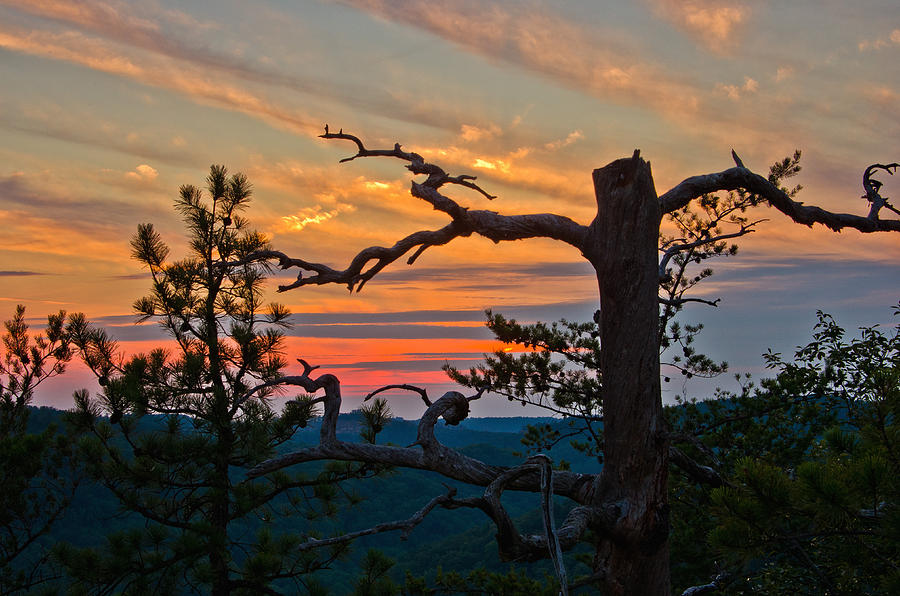 Sunset in the Red River Gorge KY Photograph by Ulrich Burkhalter
