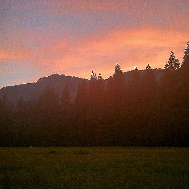 Tree Photograph - Sunset In Yosemite by Austin Stewart