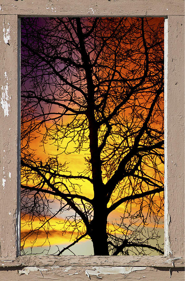 Sunset Into The Night Window View 4 Photograph