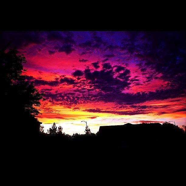 Sunset Photograph by Jessica Jones