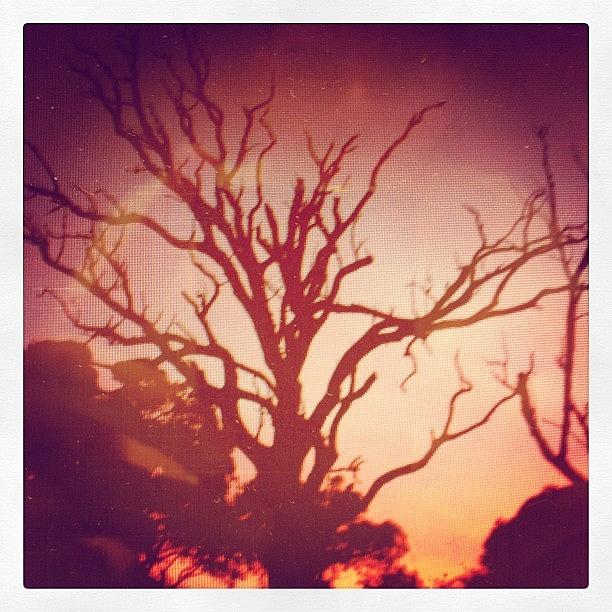 Nature Photograph - Sunset Just Now To End The Day #perth by Josh Allsop