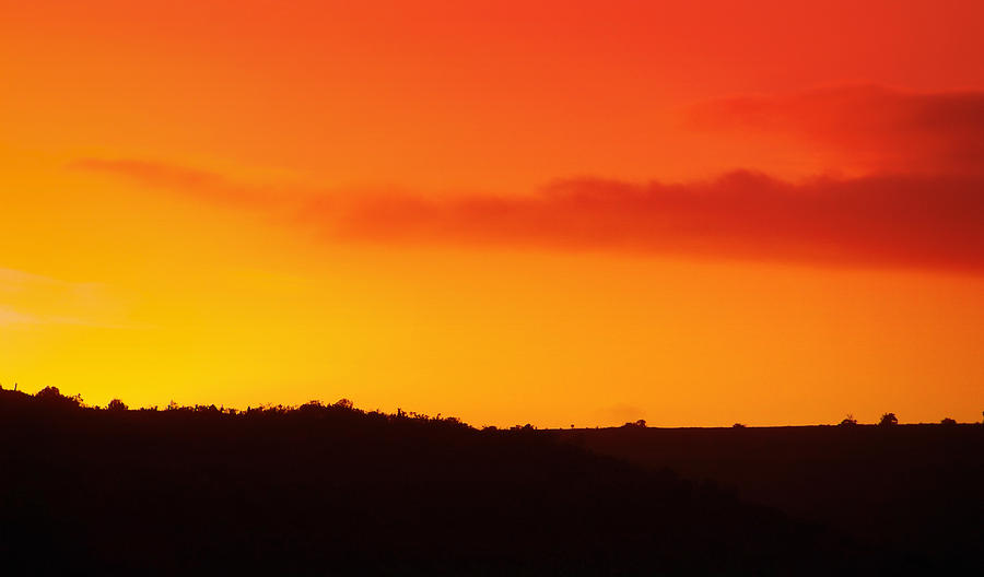 Sunset Photograph by Lynn Bolt
