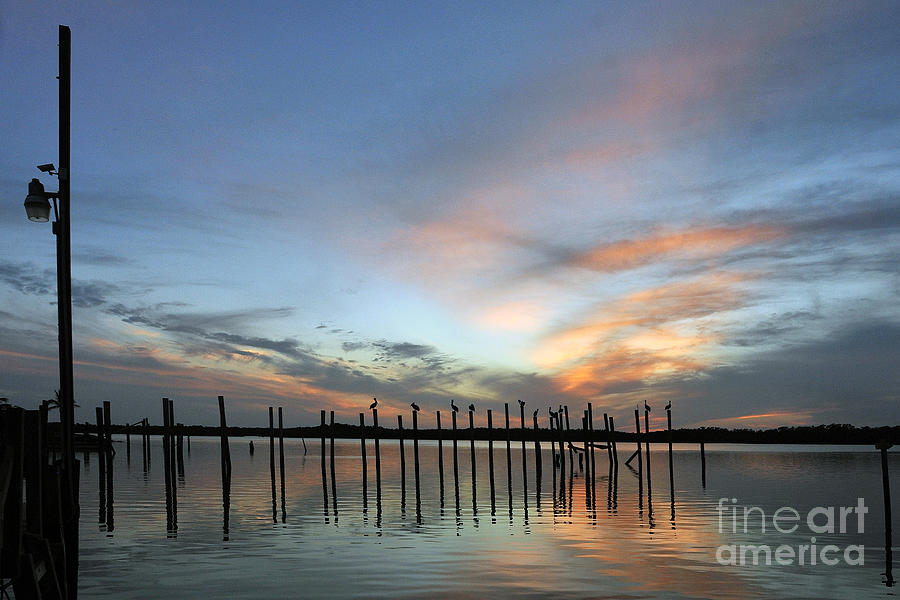sunset marina Everglades Photograph by Dan Friend
