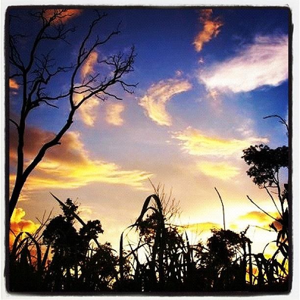 Beautiful Photograph - Sunset Nonthaburi #igers #webstagram by Rocky Boat