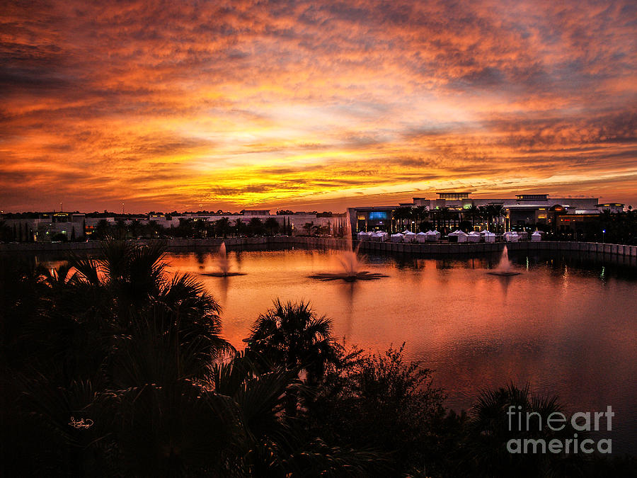 Sunset Oct 2011 Palm Beach Gardens FL Photograph by Ginette Callaway