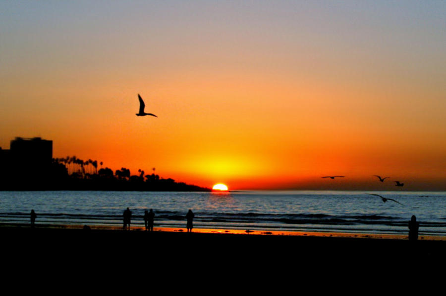 sunset on la jolla beach sally bauer