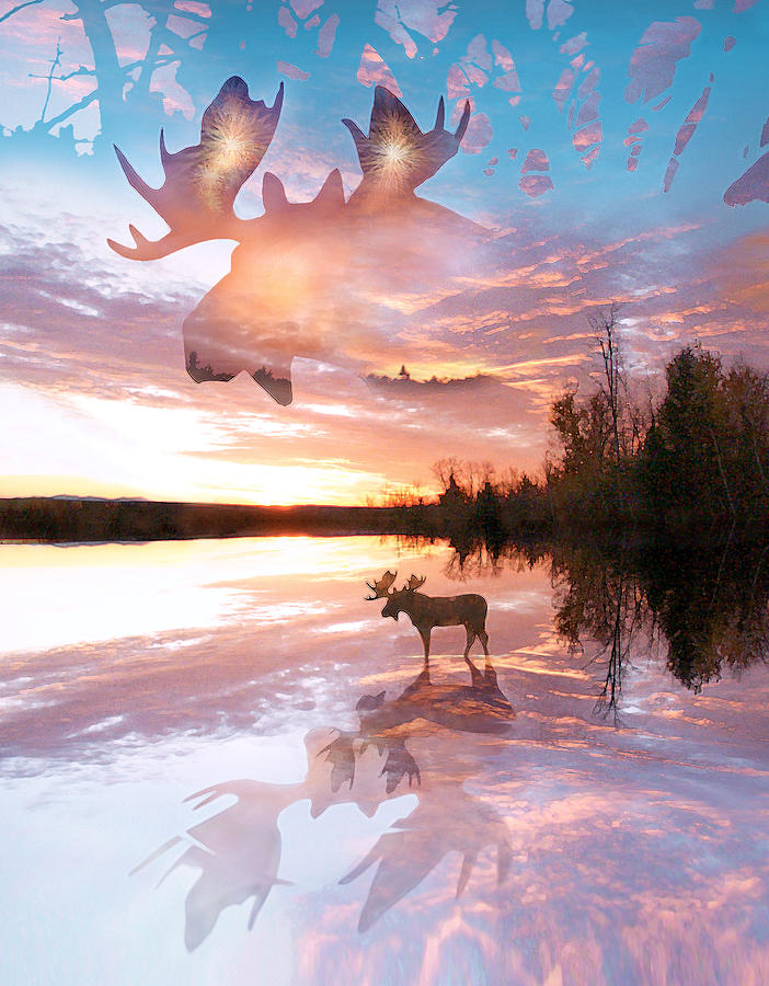 Sunset On Moose Pond Photograph by John Stephens