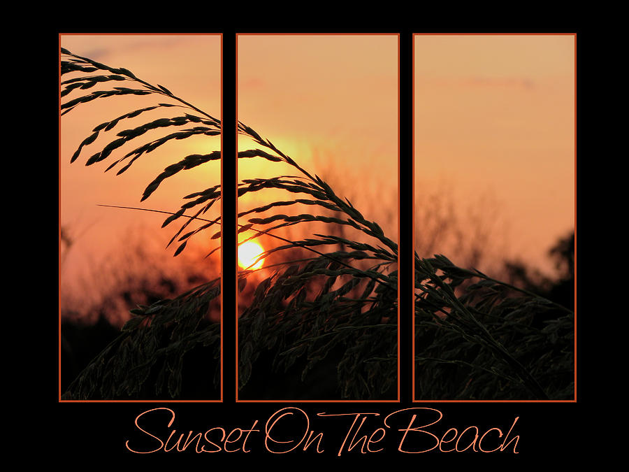 Sunset On The Beach Photograph by Carolyn Marshall