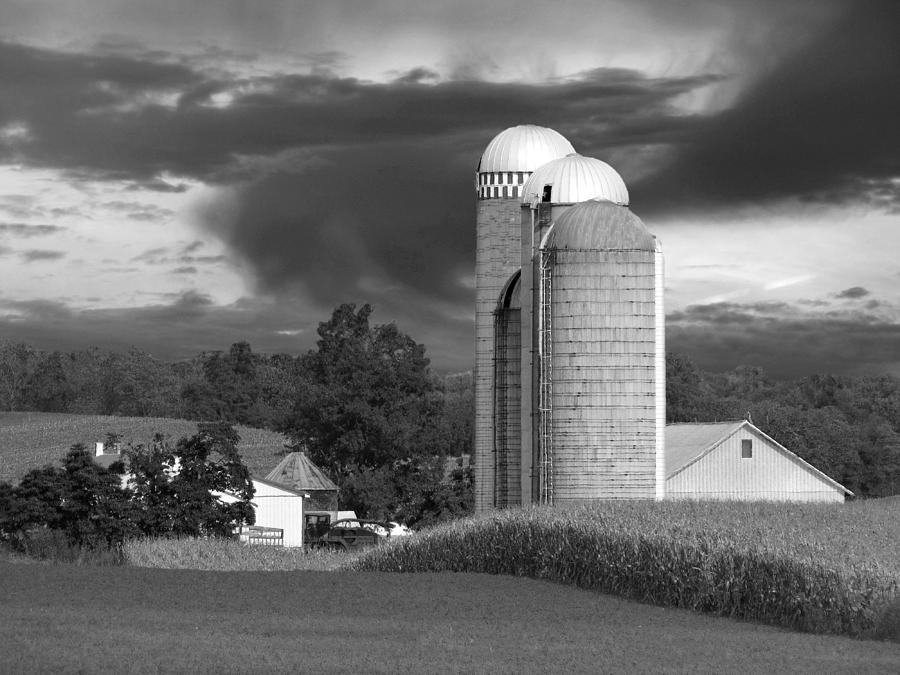Sunset On The Farm BW Photograph by David Dehner