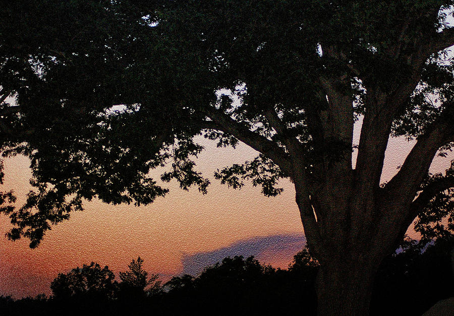Gettysburg National Park Photograph - Sunset over a witness tree by Dave Sandt