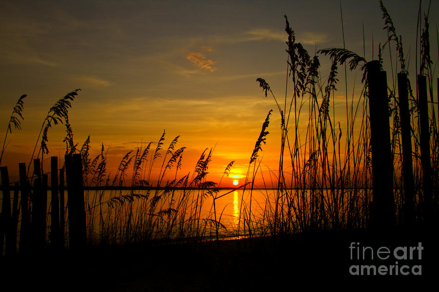 Sunset over Amelia Sound  by Dawna Moore Photography
