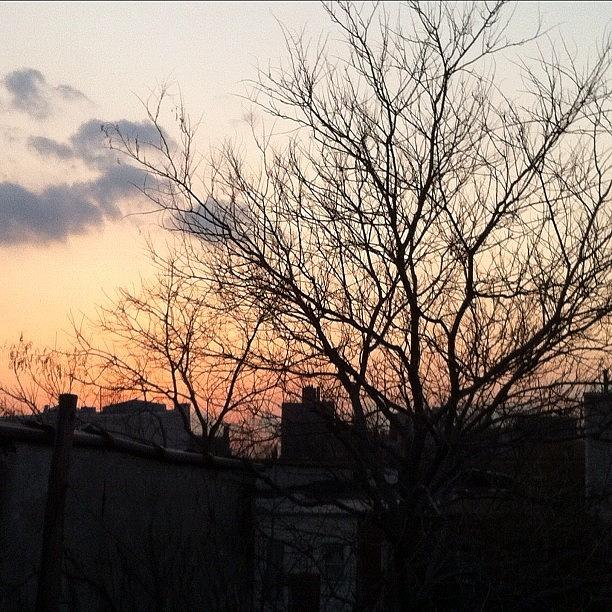 Unfiltered Photograph - Sunset Over Brooklyn, #unfiltered by Deirdre Mars