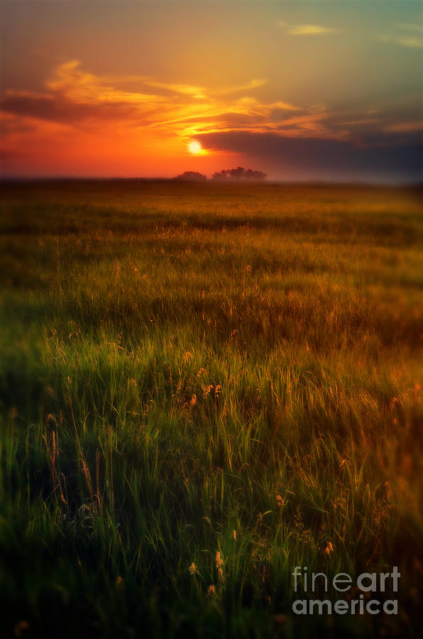 Sunset Over Field Photograph by Jill Battaglia