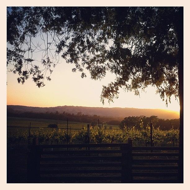 Wine Photograph - Sunset over Sonoma Valley by Crystal Peterson